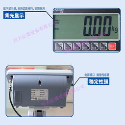100公斤高精度電子臺(tái)秤
